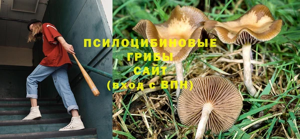 герыч Новозыбков