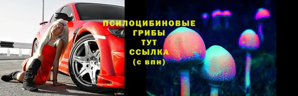 герыч Новозыбков
