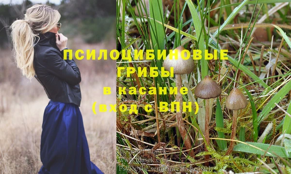 spice Нефтекумск