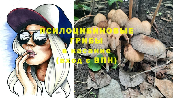 герыч Новозыбков