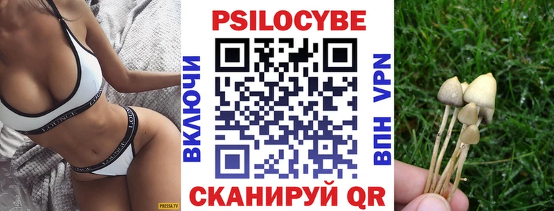 Галлюциногенные грибы Psilocybine cubensis  kraken как зайти  Энем 